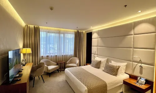 Hotel Mepas