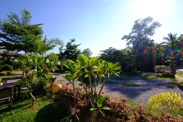 รูปภาพของเฮือนฮิมภูรีสอร์ท