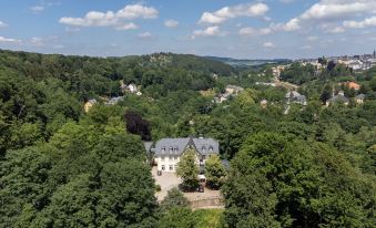 Parkhotel Waldschlösschen