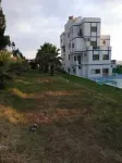 La Luna Chalets - Mountain view