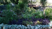 Cunningham Cottage Guest House - parking