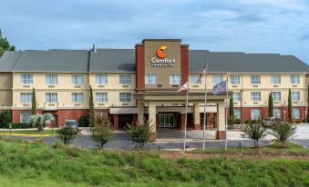 Comfort Inn & Suites Millbrook-Prattville