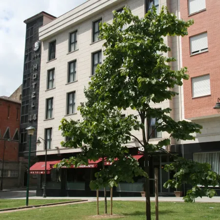 Hotel 44