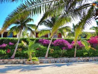 Harbour Club Villas & Marina