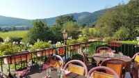 A l'Arbre Vert Hotels in Soultzmatt