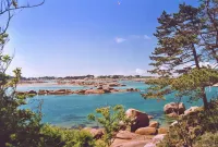 Hôtel Restaurant la Maison Hotels in Trebeurden