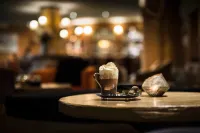 Hôtel les Barmes de l'Ours - bar