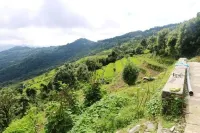 Dhampus Village Eco Lodge