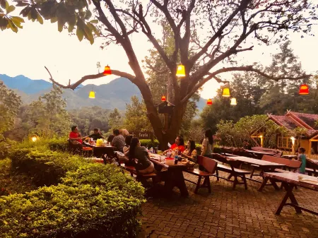 Baanpufa Resort Отели рядом с достопримечательностью «Sai Yok National Park»