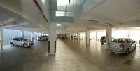 弗羅兒米納斯飯店 - 停車場