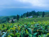 Hotel Hillside Kanyam Hotels in Pashupatinagar
