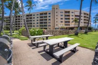 Upscale Oceanfront Penthouse Vistas