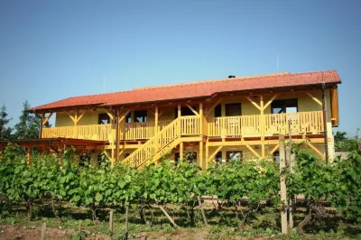 Penzion Pod Palavu Hotel di 