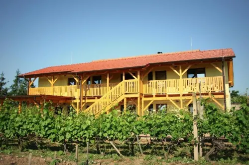 Penzion Pod Palavu Hotels in Mikulov