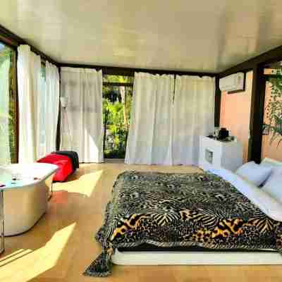 Stunning Glass Suite with Private Plunge Pool Rooms