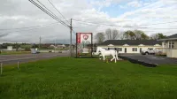 The White Horse Motel Hotel a Cornwall