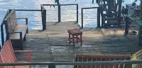 伊爾拉湖的朋友之間 - 早餐