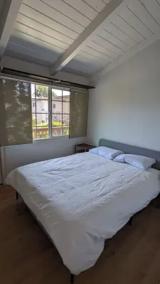 1BR in perfect Berkeley location -- patio & yard!