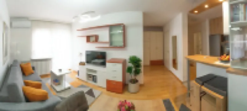 Apartment Svit
