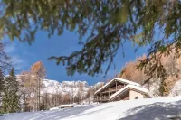 Fantastic Chalet - Bed and Breakfasts