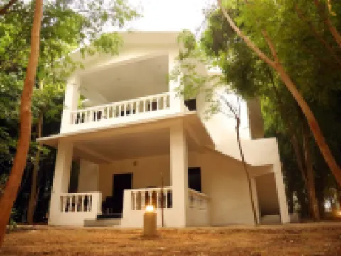 Panna Tiger Resort- Riverside Property Hotels in Chhatarpur