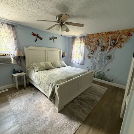 gaze at Seneca Rocks from living room sofa