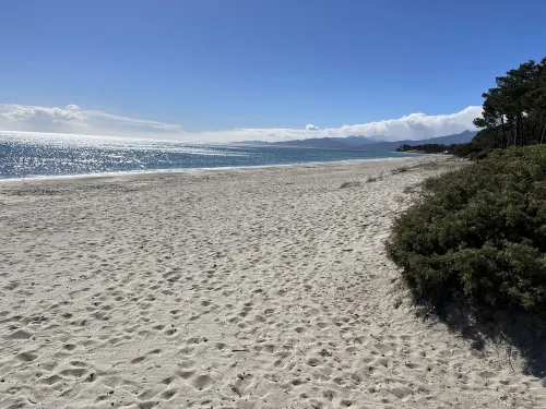 Beautiful apartment 5 km from the beach and close to all amenities Hotels in Ghisonaccia