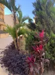 Luxe Living - 3 Bedrooms in Rehab City New Cairo Egypt