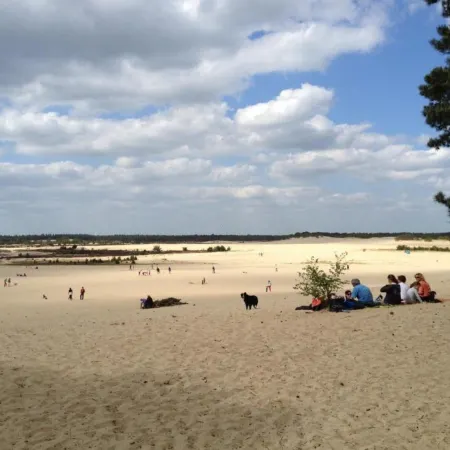 Chalet Near Loonse and Drunense Duinen