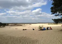 Chalet Near Loonse and Drunense Duinen Hotels in Waalwijk