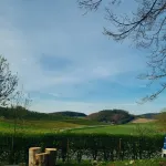 Apartment on the edge of the forest