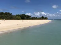 New pool and generator