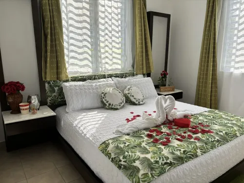 Rainforest Escape with Stunning Views Minute's Drive Away from Everything!