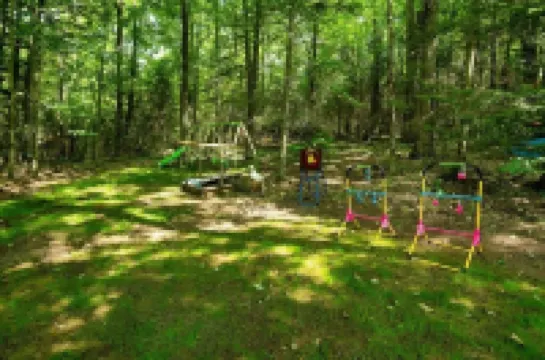 Cozy Muskoka cottage