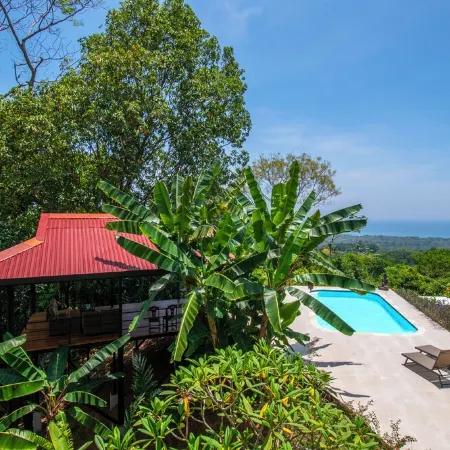 3 Bedroom Villa in Matapalo with Amazing Ocean View Jungle Views and Pool! Отели в г. Савегре
