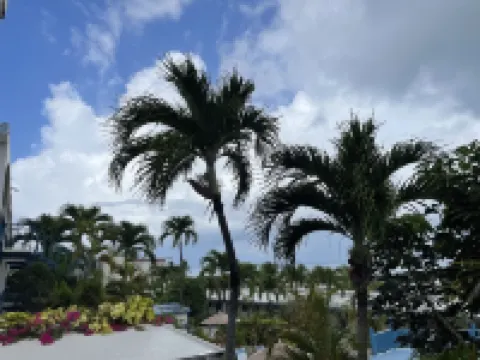 The Island Life Condo@ Long Reef with Separate Bedroom + True Ocean View