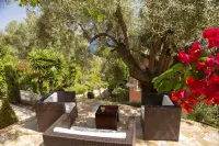 Private waterfront villa with pool and two private beaches Hotels in Ellomeno