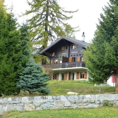 Spacious 7-person chalet with 4 bedrooms in varied ski area Bellwald Wallis + P