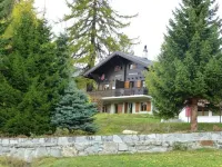 Spacious 7-person chalet with 4 bedrooms in varied ski area Bellwald Wallis + P Hotel a Bellwald