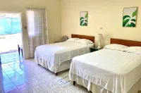 THE IRIE INN APT #2 Hotels in 