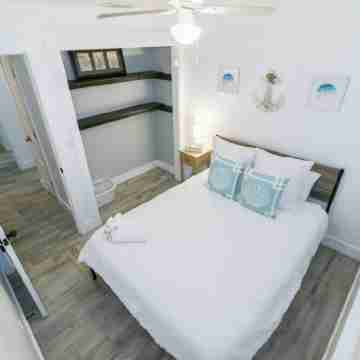 Charming 3-bedroom house in amazing St. Augustine;  quiet, clean and comfortable Rooms