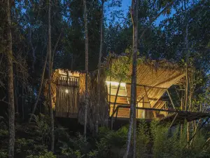 Ecolodge Palonegro