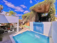 Perro Surfero Hotel Boutique - Todos Santos, Bcs Hotels in Todos Santos