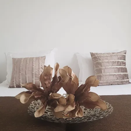 Azores Pedra Apartments T0 e T1