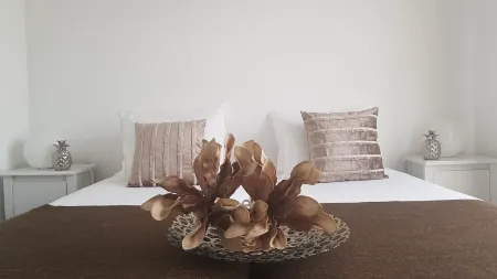 Azores Pedra Apartments T0 e T1