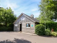 Swandown, 9 Kittwhistle