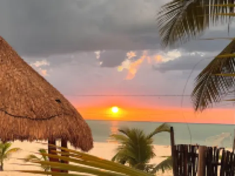 Posada Maria Isabel Hotels in Celestun