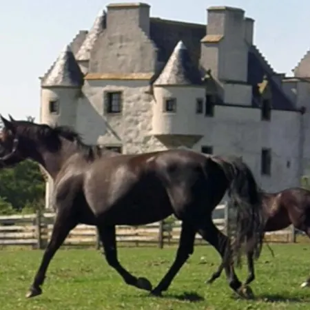 Faside Estate