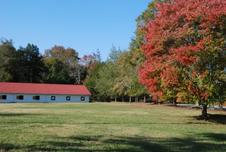 The Colonels B&B and Inn Отели в г. Атенс