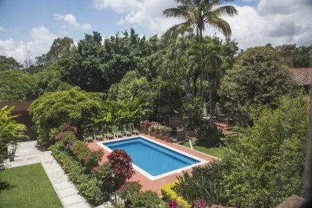 Orchidelirium Casa Hotel & Salud Estética Отели рядом с достопримечательностью «Casa mejia»